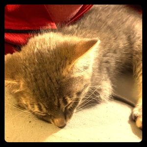 NOTHING JUST A APPRECIATION POST